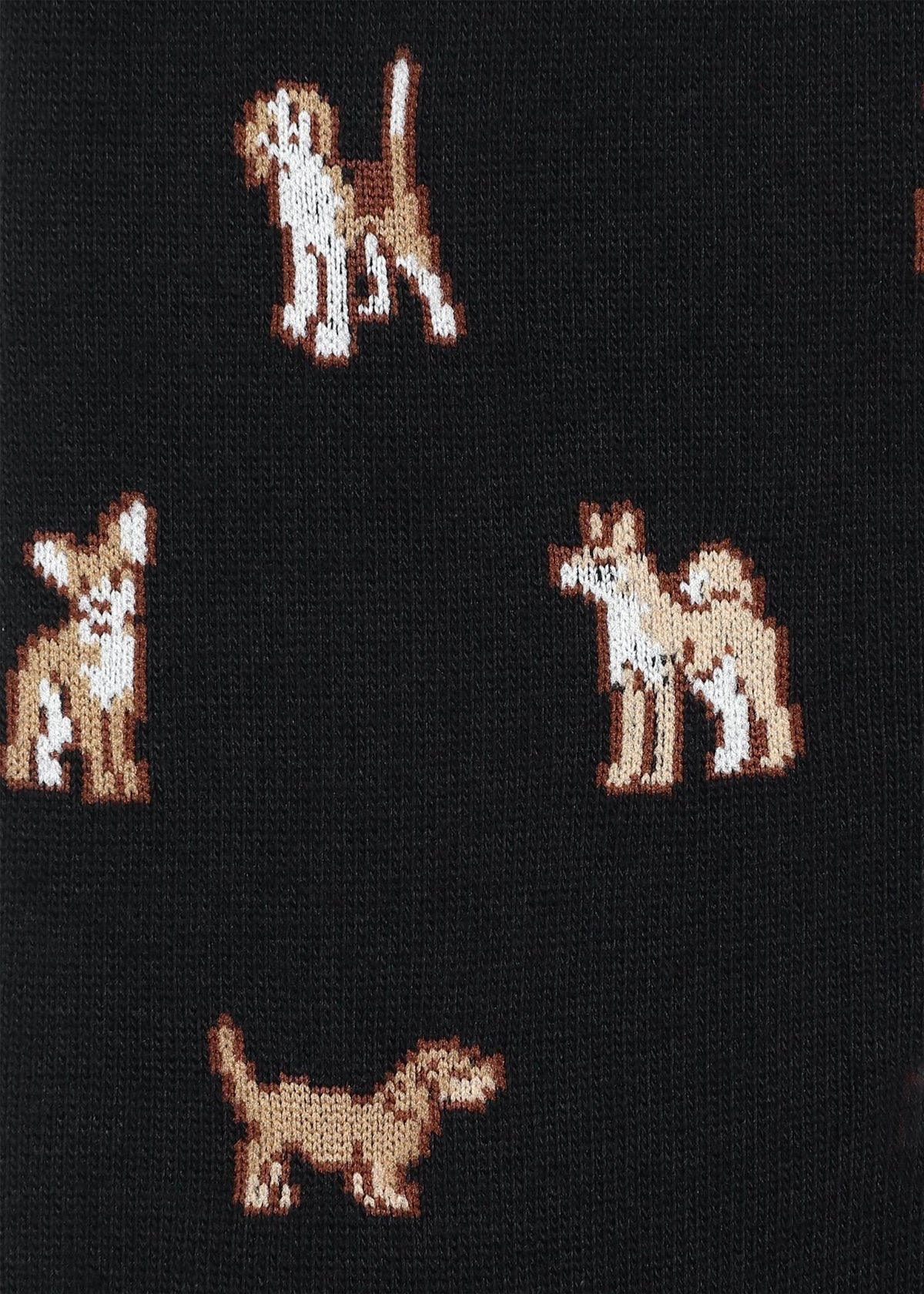 ソックス