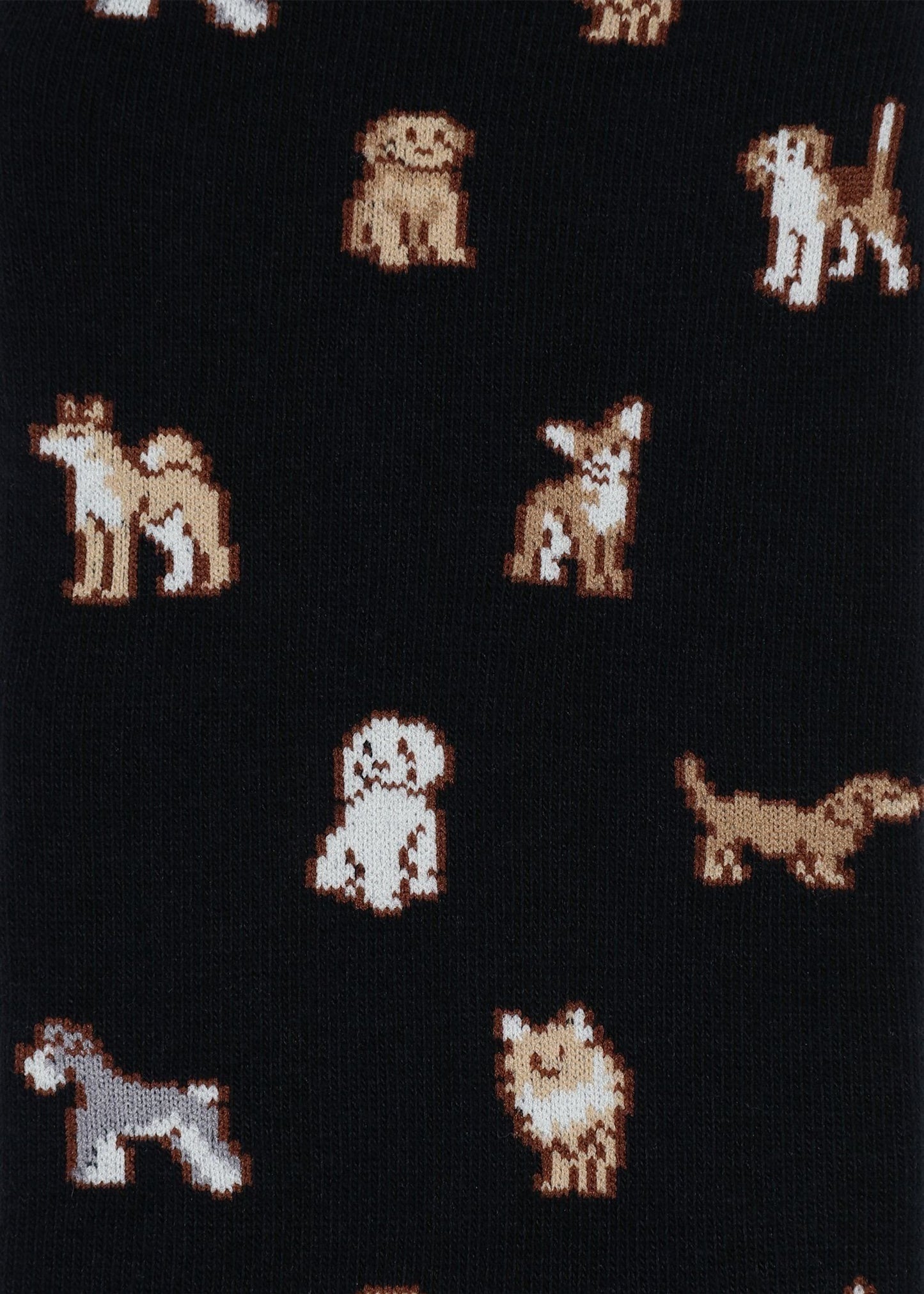 ソックス