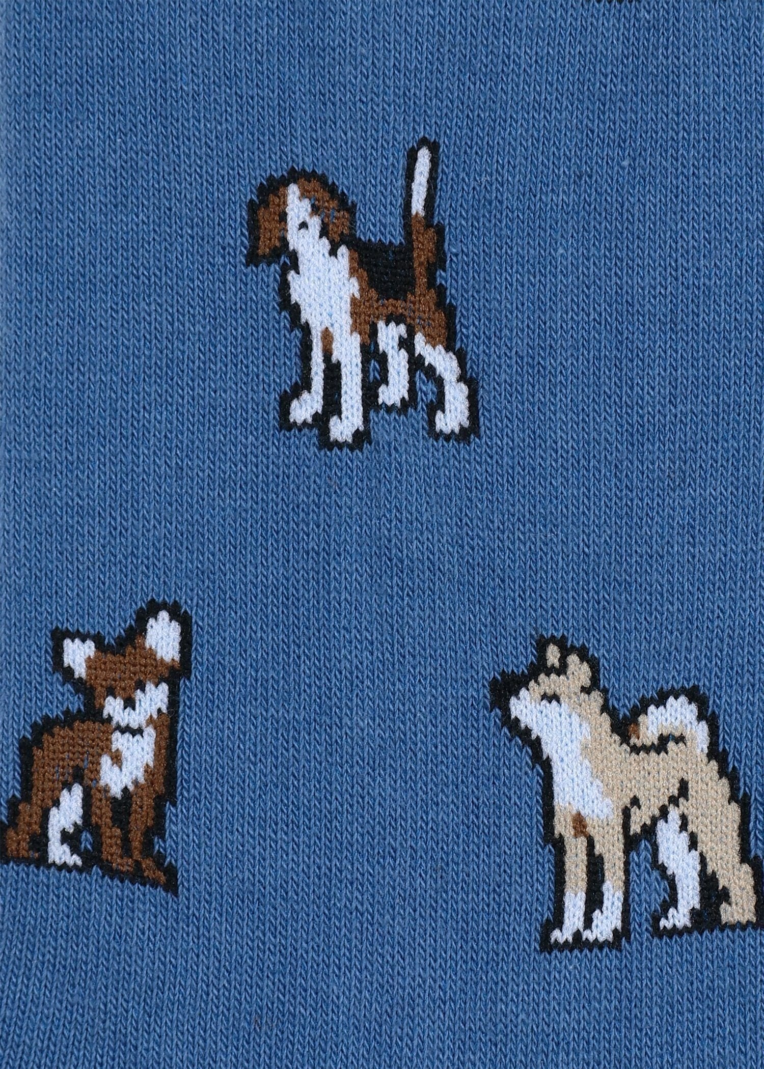 ソックス